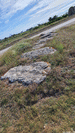allecouvertepointedegueritte3.jpg