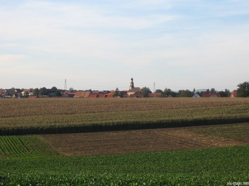 Batzendorf