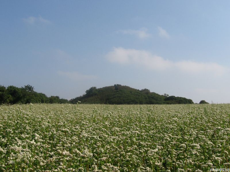 La butte de Csar