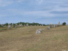 carnac4.jpg