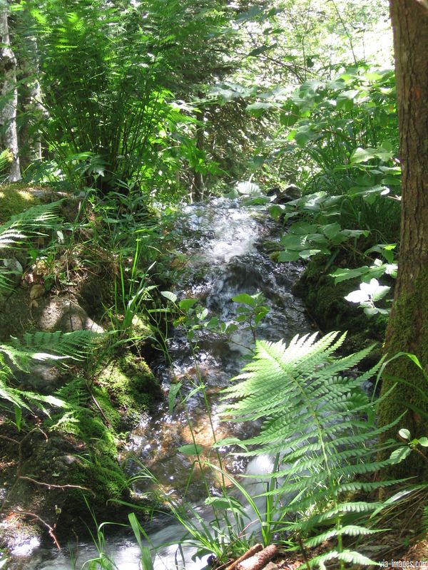 La cascade du Nideck