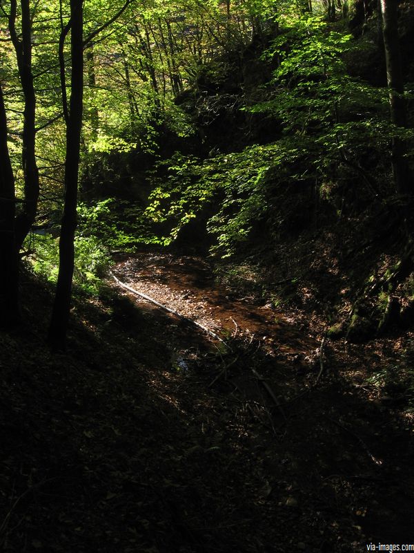 La cascade du Nideck