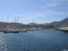 t_cavalaire4.gif