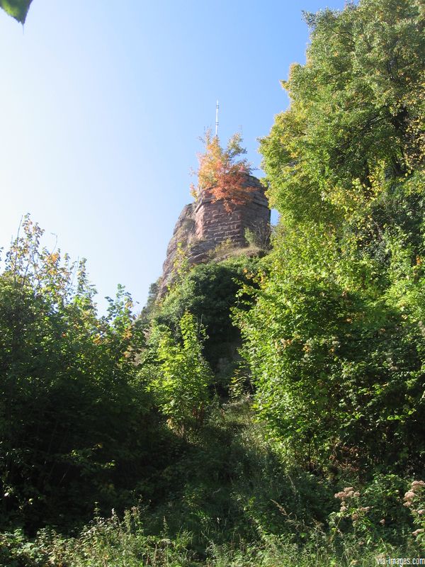 Le château du Haut-Barr