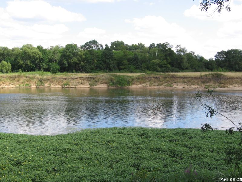 Confluent Cher Loire