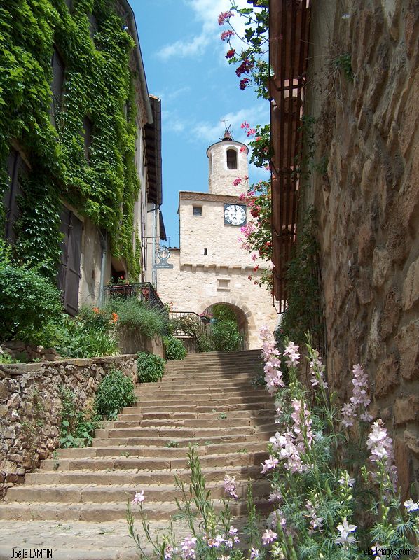 Cordes