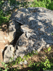 dolmenpichone3.jpg