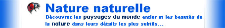 Nature naturelle