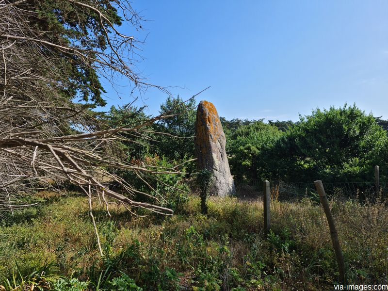 Le menhir de Goulvars