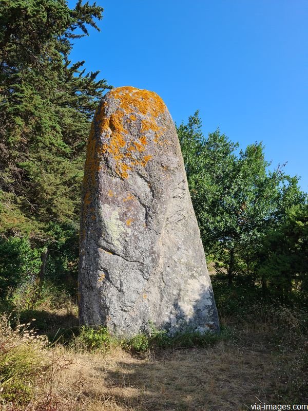 Le menhir de Goulvars