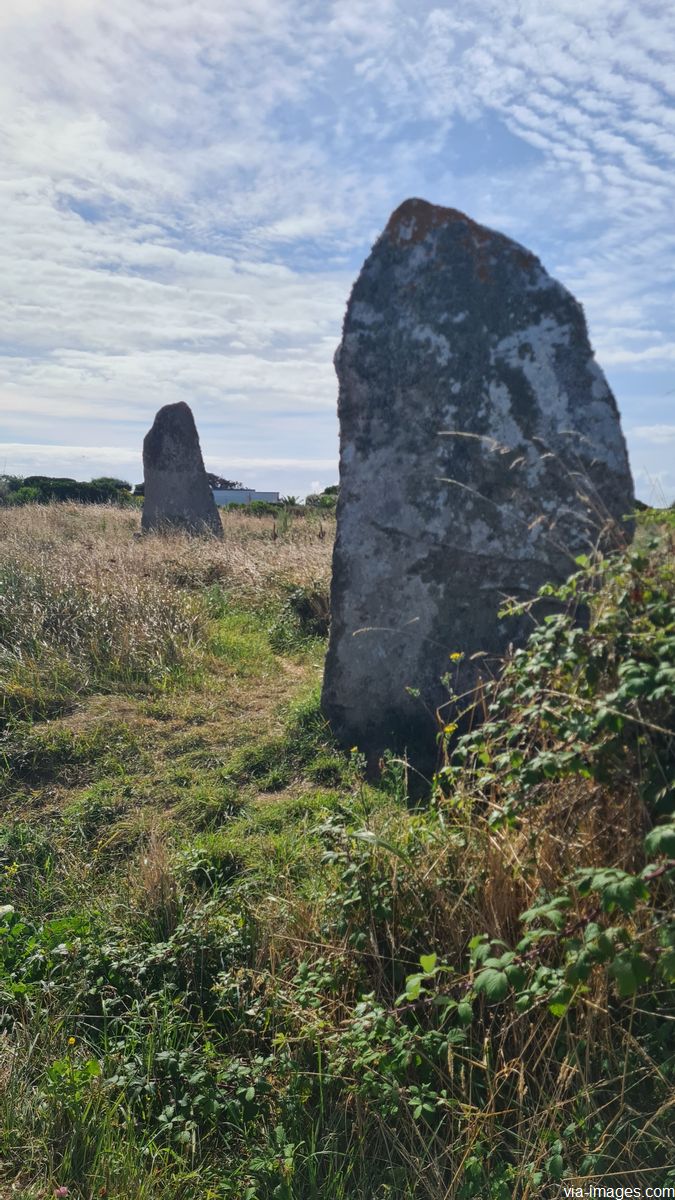 Les menhirs de Manemeur