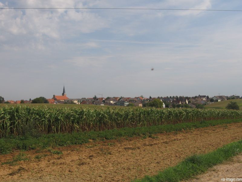 Niederschaeffolsheim