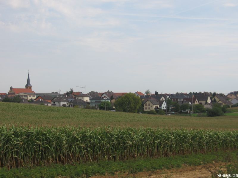 Niederschaeffolsheim