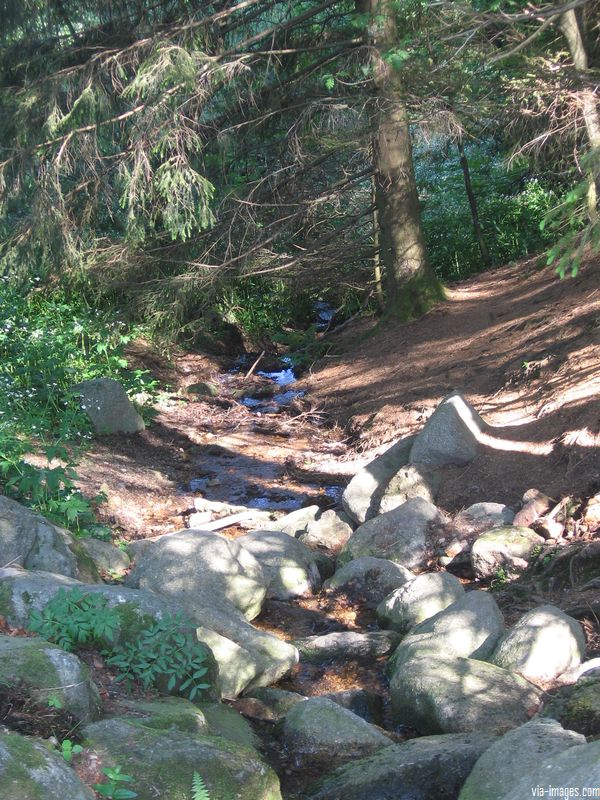 La source du Danube