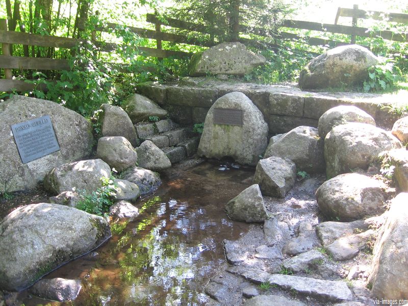 La source du Danube