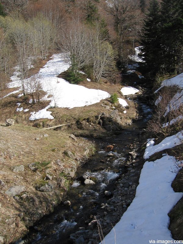 Les sources de la Dordogne