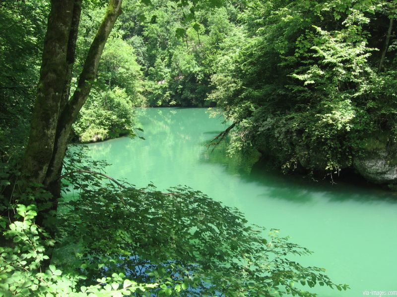 La source de la Loue