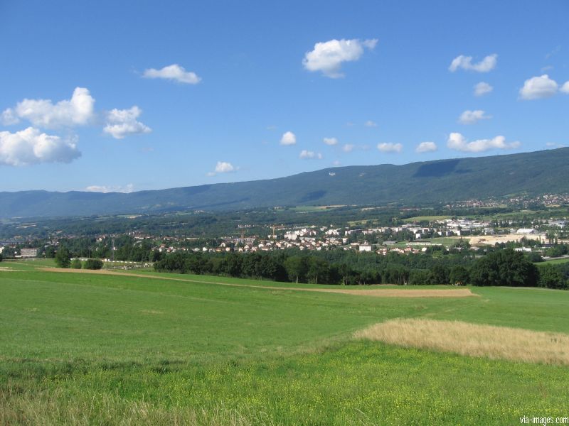Les pertes de la Valserine