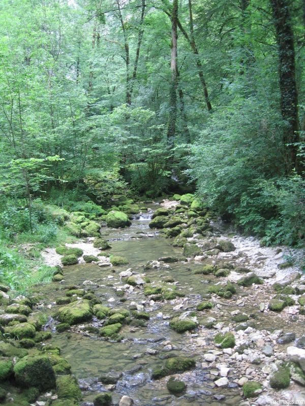 La source du Lison