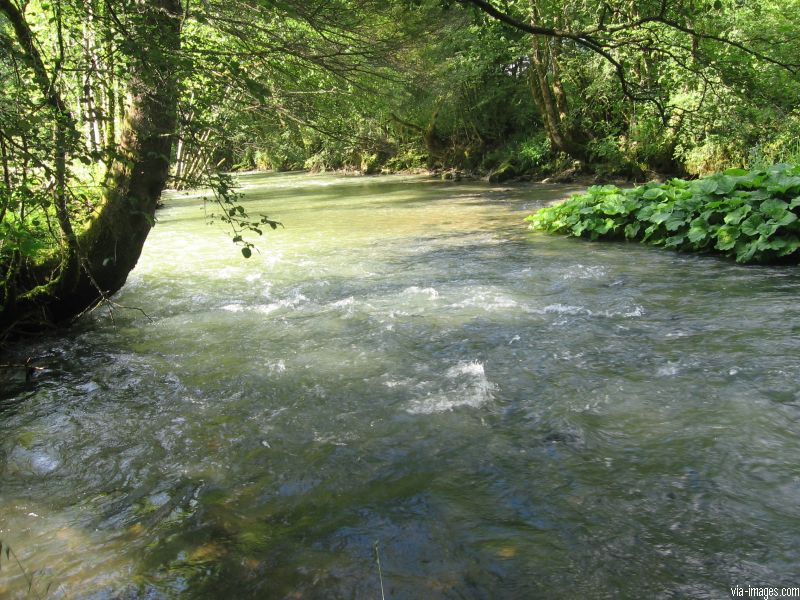 La source du Lison