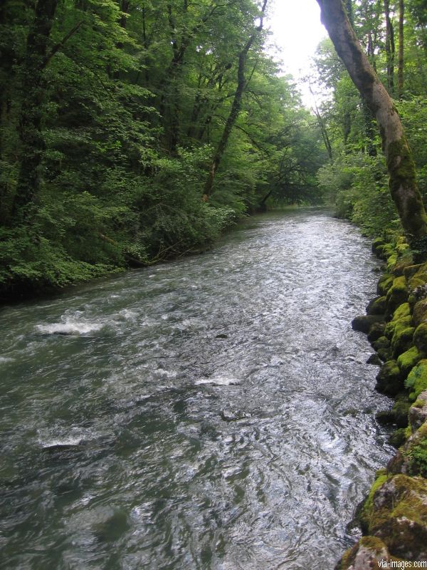 La source du Lison