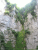 t_sourcelison11.gif