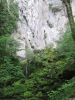 t_sourcelison15.gif