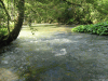 t_sourcelison19.gif