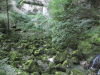 t_sourcelison20.gif