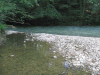 t_sourcelison21.gif